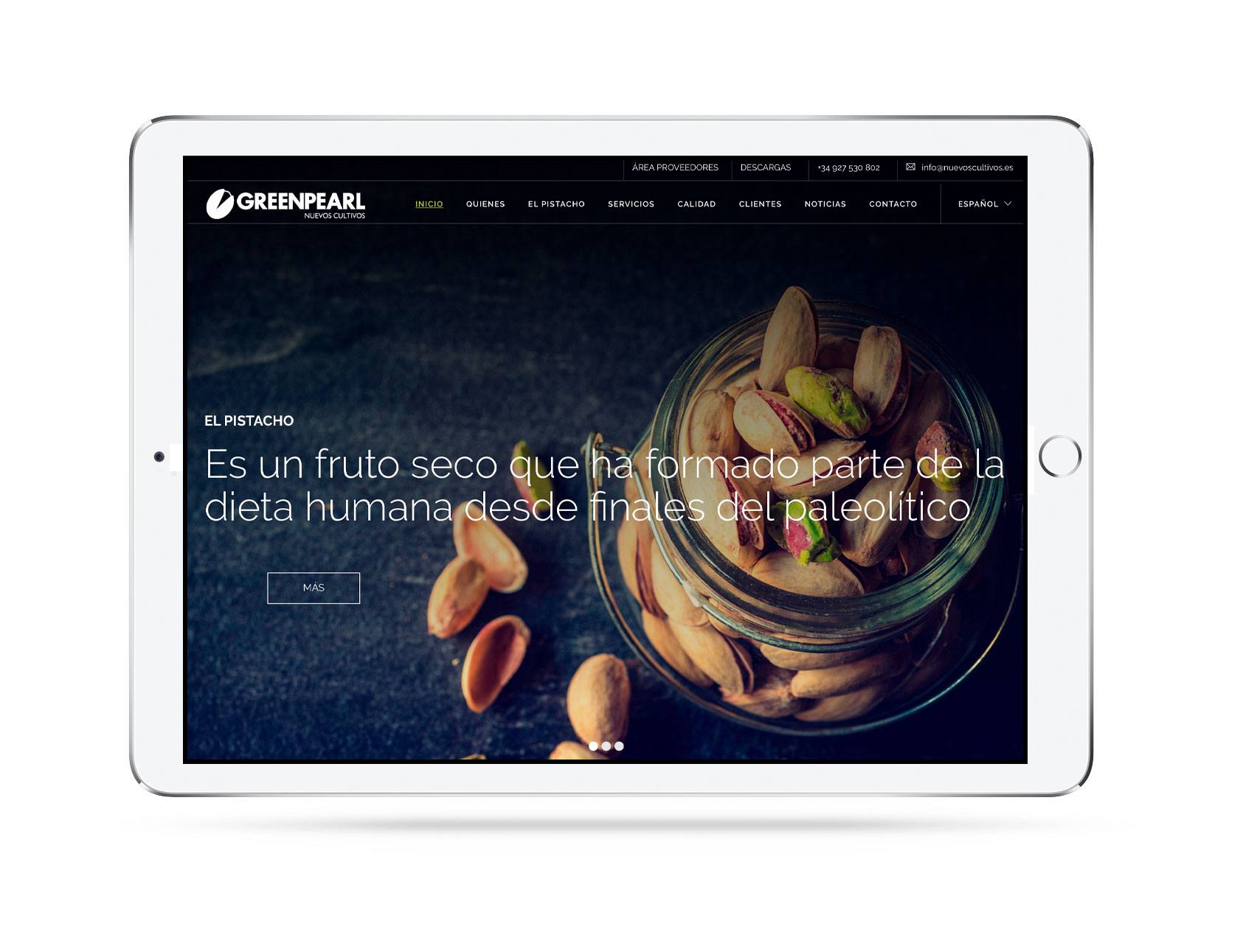 Diseño de la web corporativa de Green Pearl