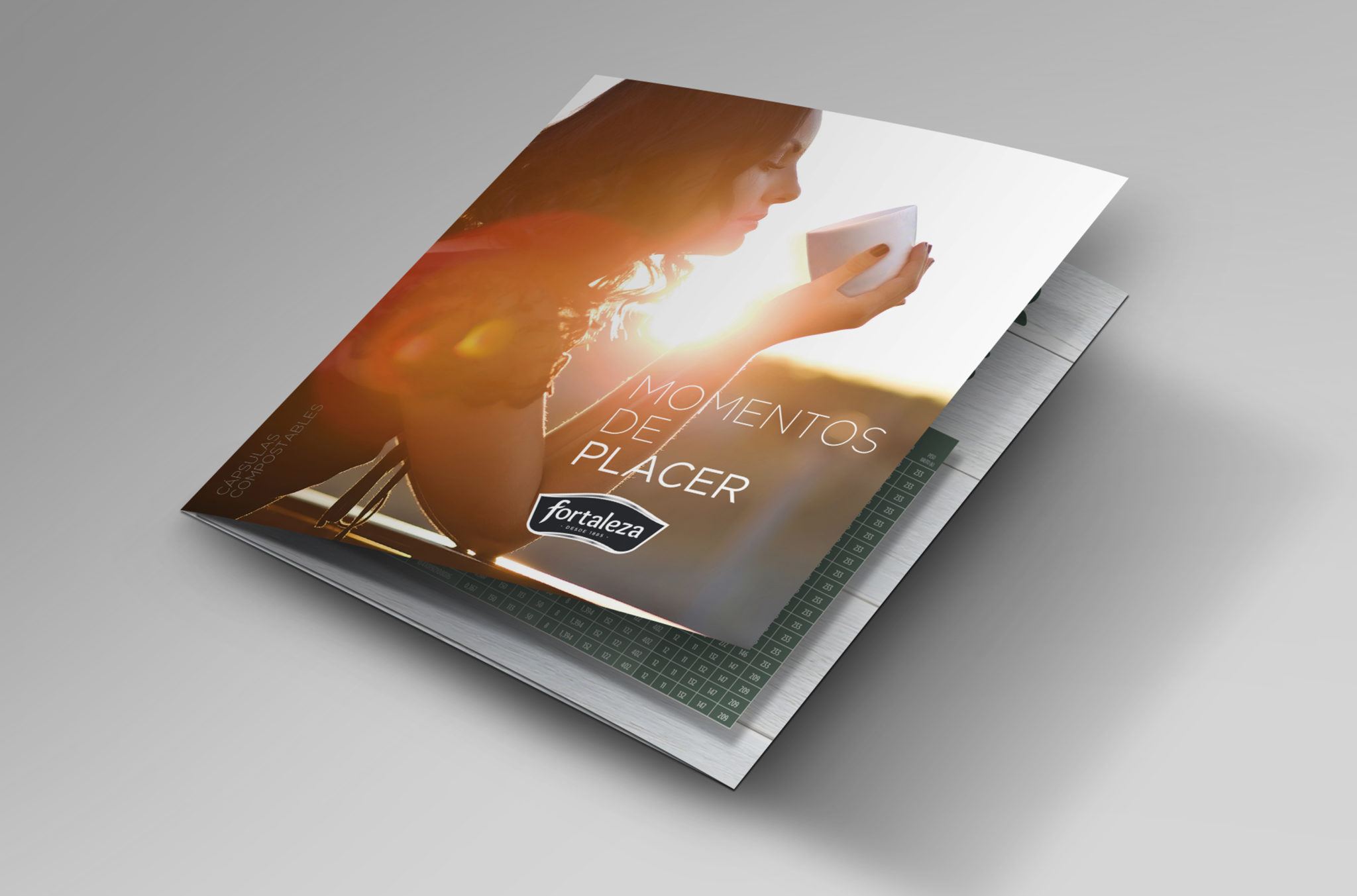 Trifold Square Brochure Mockup compostables