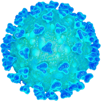 coronavirus COVID19